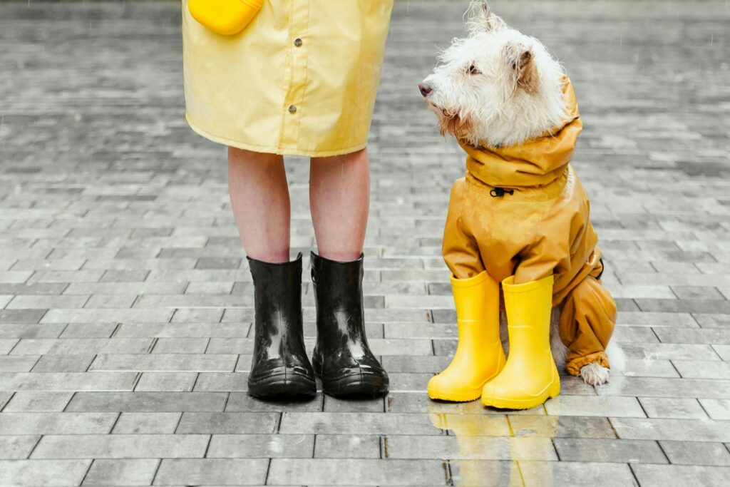 Estilo e Funcionalidade: Como Escolher Roupas e Calçados Impermeáveis para Evitar Vazamentos