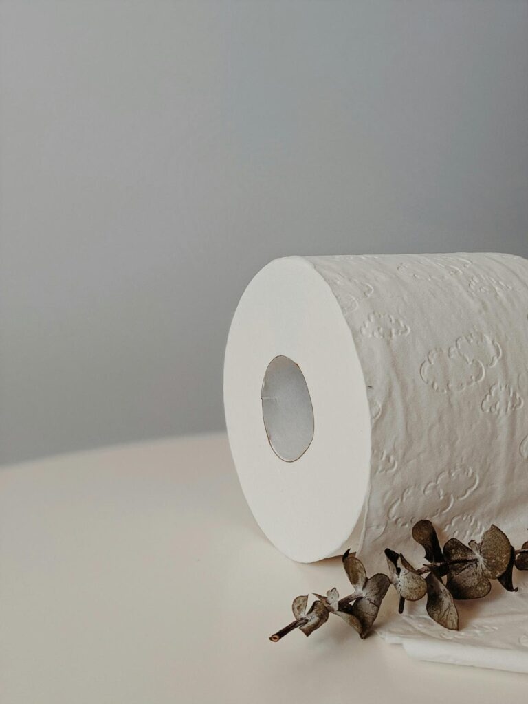 Dicas de Decoração e Higiene para Manter sua Casa Livre de Pragas e Aconchegante