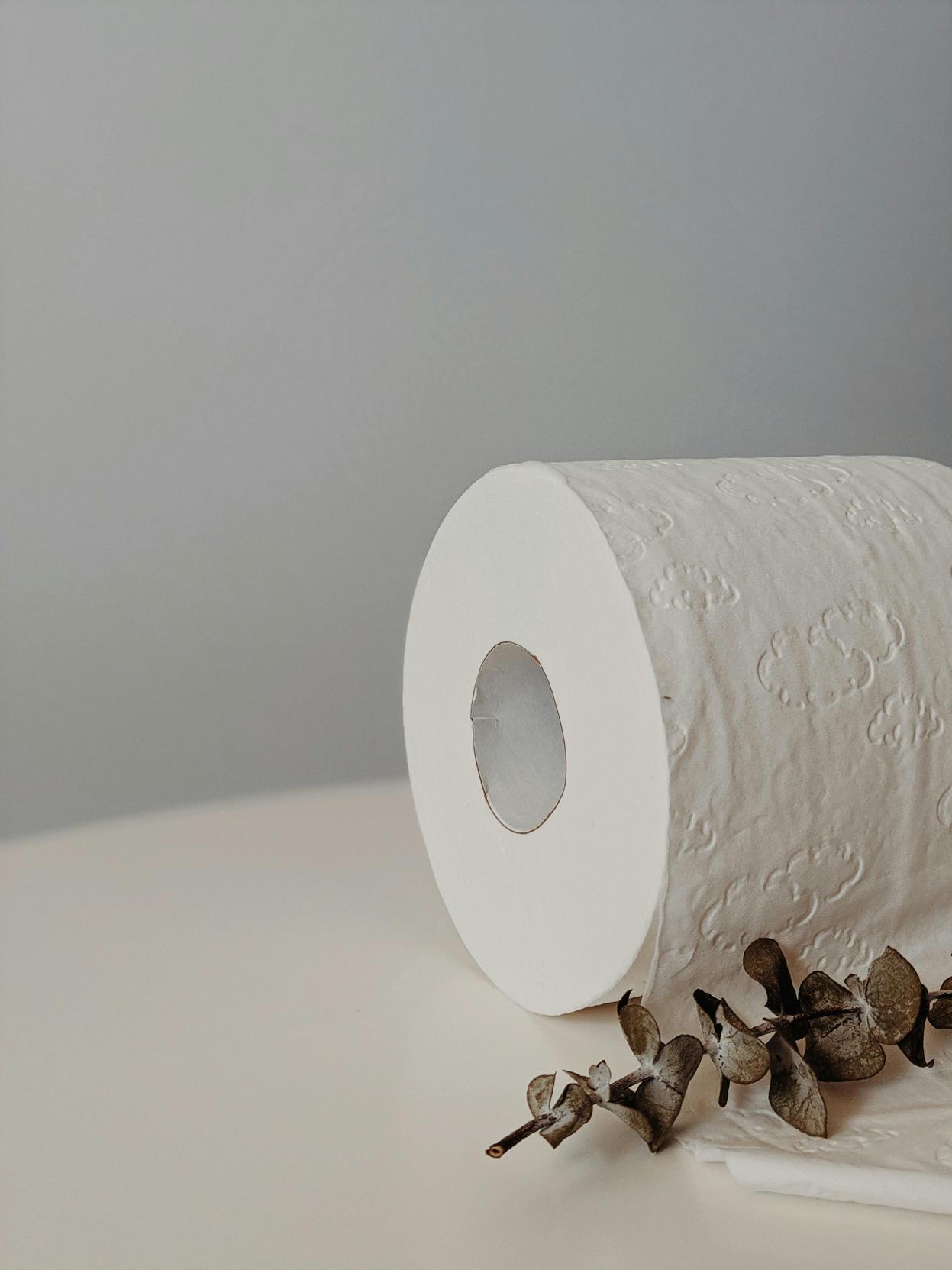 Dicas de Decoração e Higiene para Manter sua Casa Livre de Pragas e Aconchegante