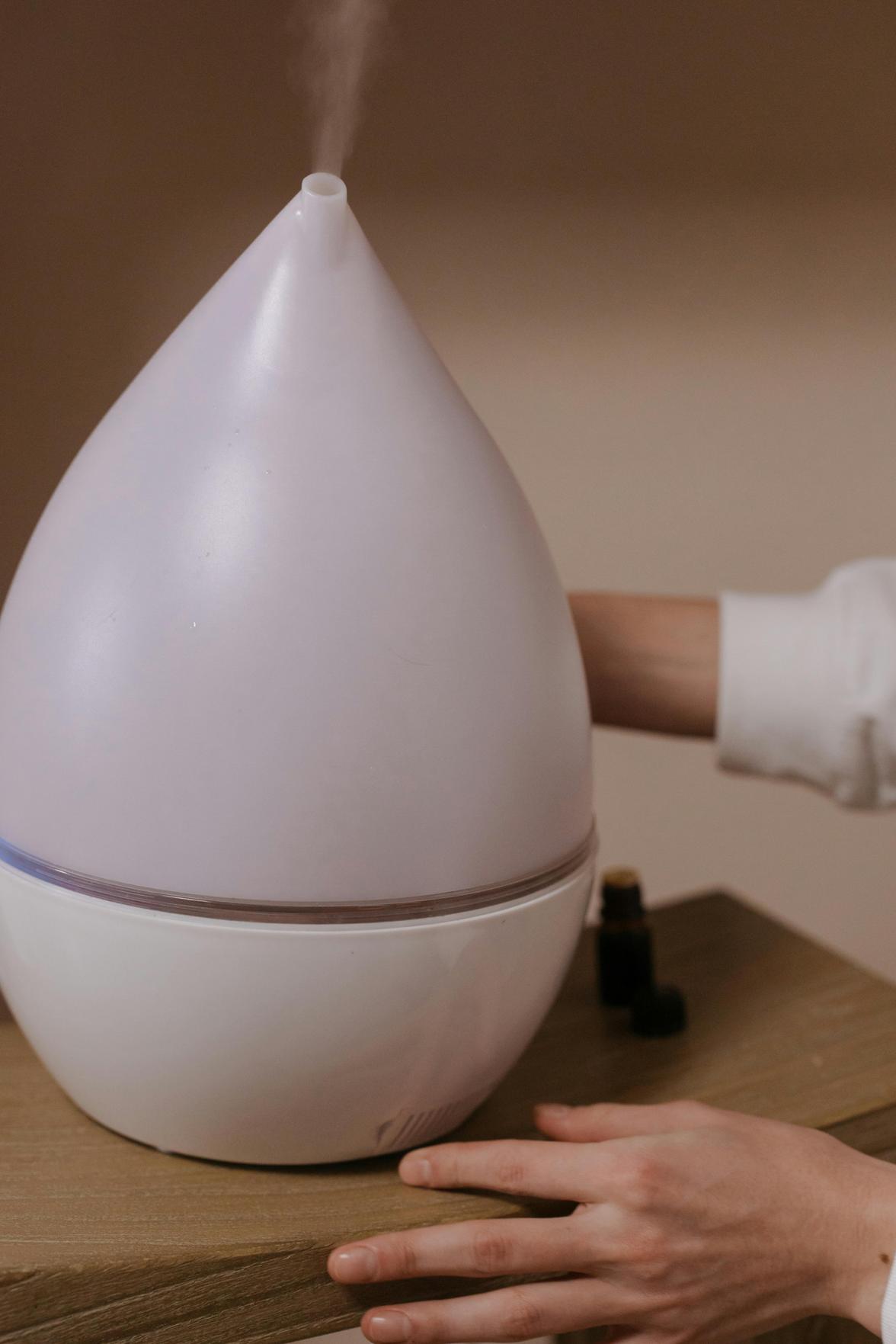 Dicas Práticas para Prevenir Vazamentos em Casa e Garantir o Bem-Estar do Lar