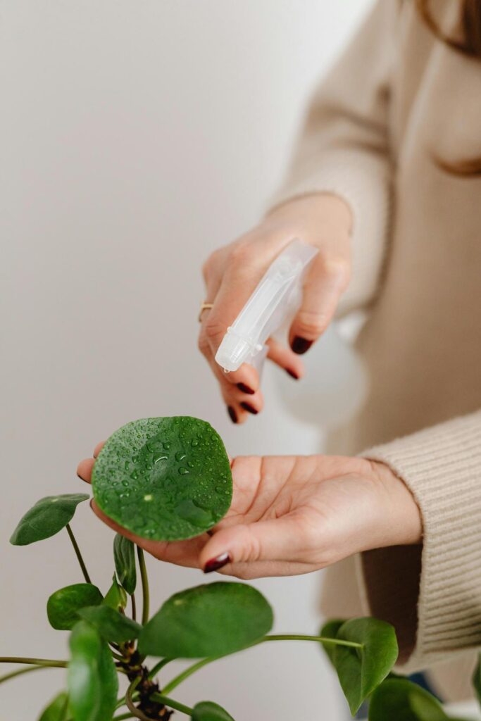 Dicas para Detectar Vazamentos Ocultos em Casa e Garantir um Ambiente Saudável