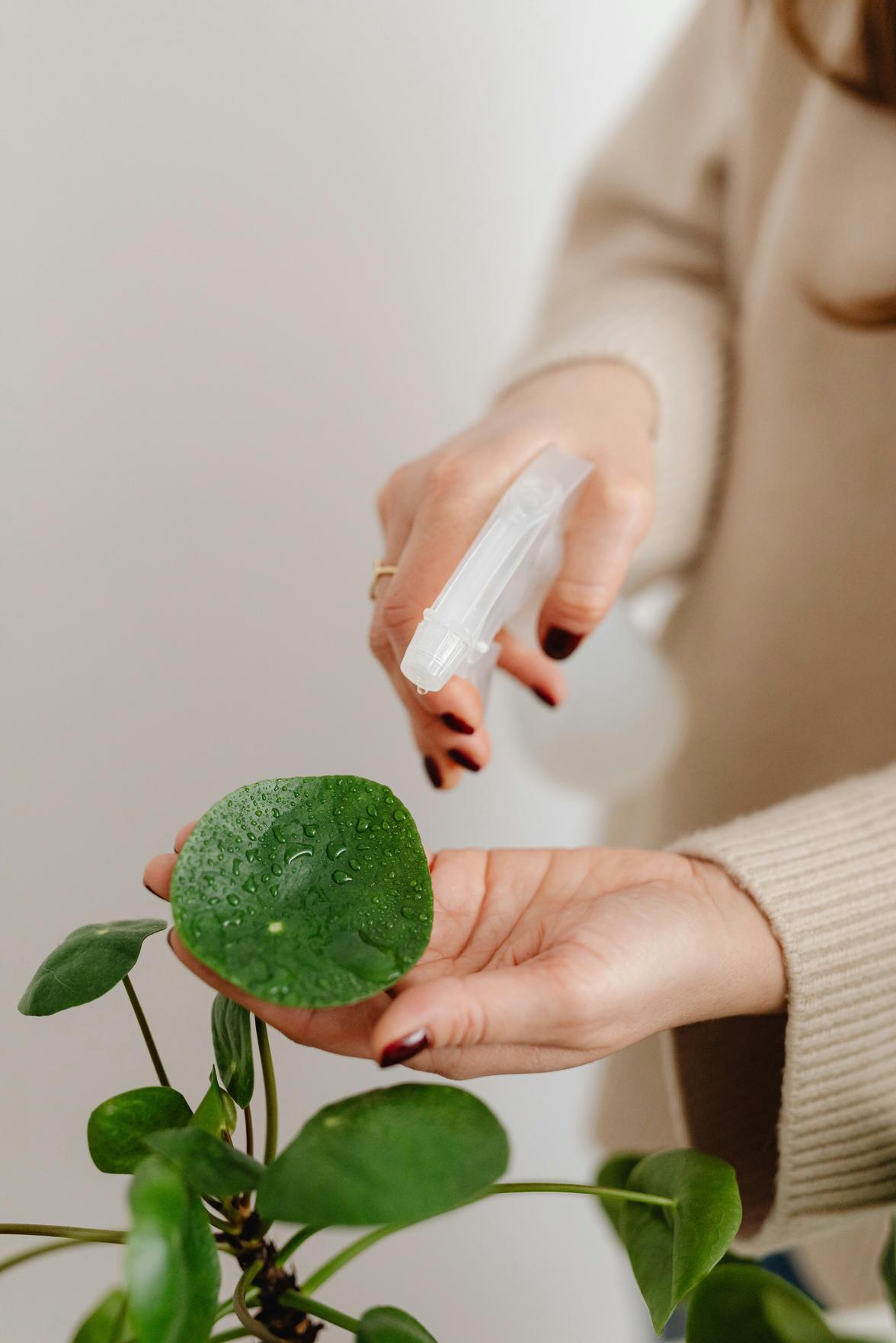 Dicas para Detectar Vazamentos Ocultos em Casa e Garantir um Ambiente Saudável