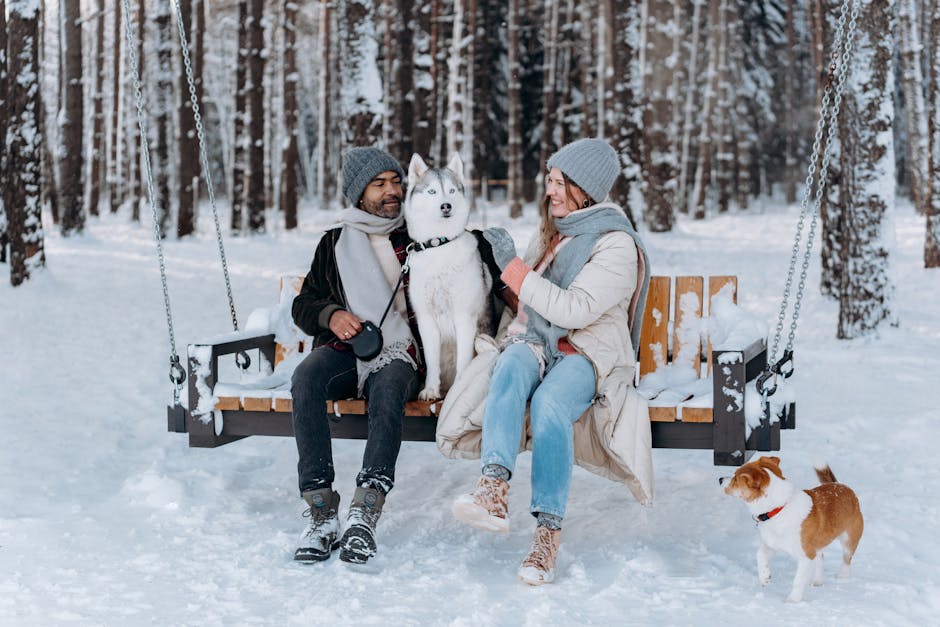 Casa Limpa e Pet Feliz: Guia Completo de Creches para Cachorros