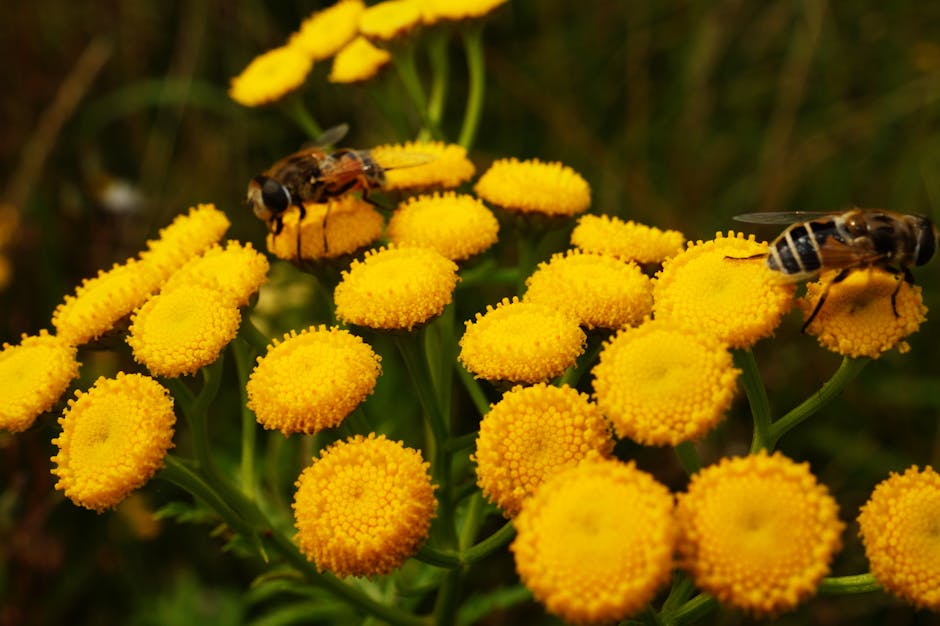 Como plantas afastam pragas: guia completo