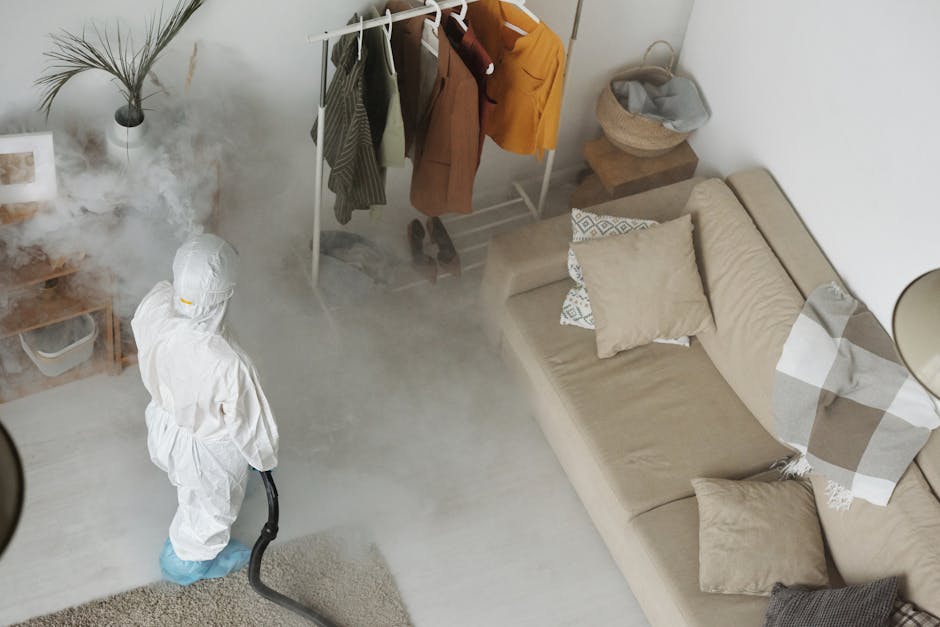 Casa sem Pragas: Guia Completo + Habilitação Arrais