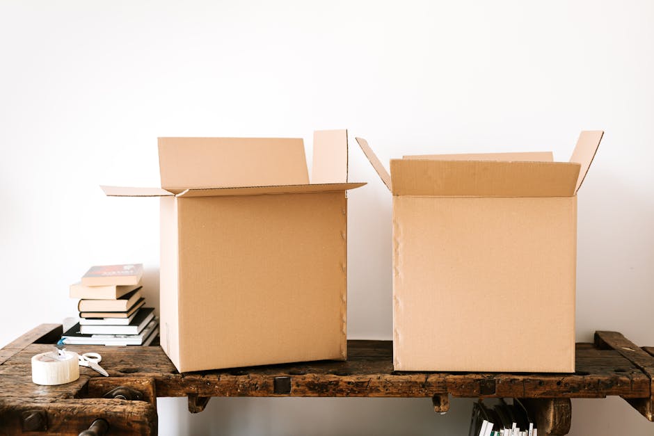 Dedetização em Casa: Dicas + Melhor Frigobar para Organizar Limpeza