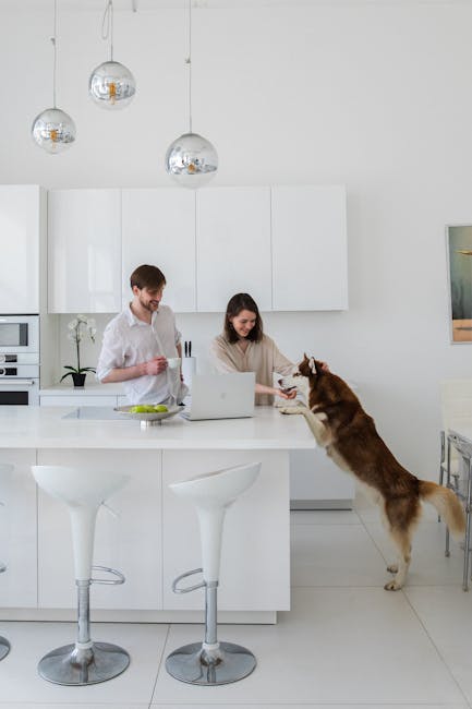 Cafeteiras de Cápsula: Casa, Tecnologia e Gastronomia em Harmonia